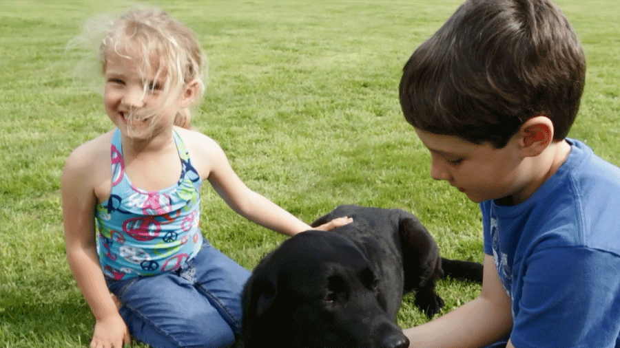  10 Reasons Pets Are Good for Kids