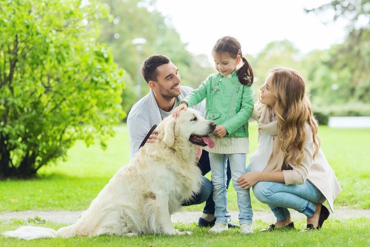 Dogs And Children